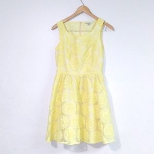 Lauren Conrad Sunflower Embroidered A-line dress